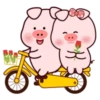 Cute little pig🐖2🇲🇽Movi 12