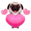 Pug emoji 1 mov 7