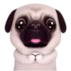 Pug emoji 2 mov 11
