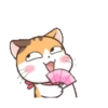 Fun kitten mov 7