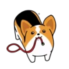 Animated Animals part 2 16