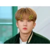 StrayKids 23