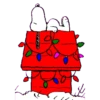 Snoopy💓1🇲🇽Movi 14