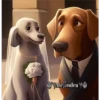 Perritos 2Guau Guau 11