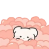 Lovely bear 2 mov 10