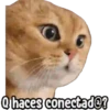 ⚠ Gatito Tóxico ☣️⚠️ 15