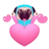 Pug emoji 1 mov 8