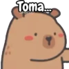 Capibara lindo 🦫 7