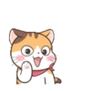Fun kitten mov 8