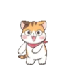 Fun kitten mov 9