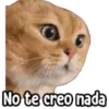⚠ Gatito Tóxico ☣️⚠️ 16