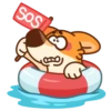 Chpic.su • | Коржик 10