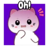 cute cats 🐱🩷🩵🐈 7