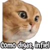 ⚠ Gatito Tóxico ☣️⚠️ 17