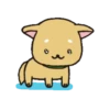 Dog 🐕🐾 17