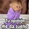 Monos changos graciosos 🐒🐵 15