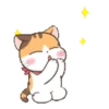 Fun kitten mov 12