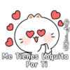Feliz San Valentín🥰𑁍1🇧🇷Movi 13
