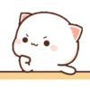 kitty? 16
