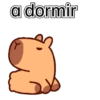 capibara cute 😎 11