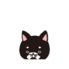 Dog 🐕🐾 19