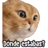 ⚠ Gatito Tóxico ☣️⚠️ 19