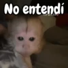 Monos changos graciosos 🐒🐵 6