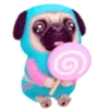 Pug emoji 1 mov 10