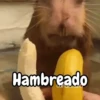 🦫 Capibara reactions 🦫 6