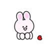 Mini rabbit mov 15
