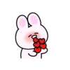 Mini rabbit mov 16