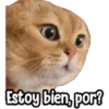 ⚠ Gatito Tóxico ☣️⚠️ 20