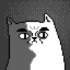 Pixel cat mov 11