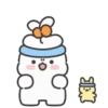 Cute rabbit 2 mov 19