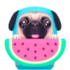 Pug emoji 1 mov 11