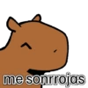 capibara cute 😎 13