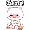 cute cats 🐱🩷🩵🐈 10