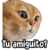 ⚠ Gatito Tóxico ☣️⚠️ 21