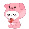 Niño puerquito 1 🐷 MOV. 🇲🇽 15