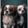Perritos 2Guau Guau 18