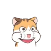 Fun kitten mov 15