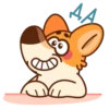 Chpic.su • | Коржик 14