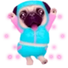 Pug emoji 1 mov 12