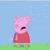 🐽 Peppa pig 🐷 11