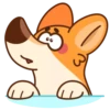 Chpic.su • | Коржик 15