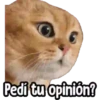 ⚠ Gatito Tóxico ☣️⚠️ 22