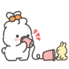 Cute rabbit 1 mov 14