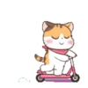 Fun kitten mov 16