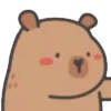 Capibara lindo 🦫 10