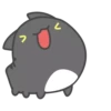 Black Capoo @IMG2D 14